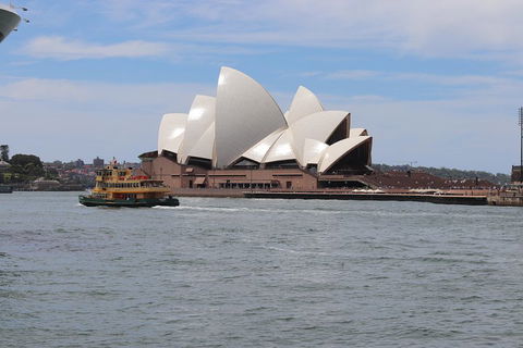 Private Sydney City And Bondi Beach Half Day Tour - Accommodation Great Ocean Road 5