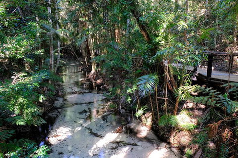 Fraser Island 4WD Tour From Rainbow Beach - Accommodation Great Ocean Road 0