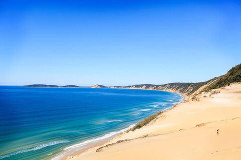 Kayak With Dolphins And 4WD Great Beach Drive Day Trip From Noosa - Accommodation Great Ocean Road 0