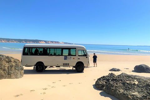 Kayak With Dolphins And 4WD Great Beach Drive Day Trip From Noosa - Accommodation Great Ocean Road 4