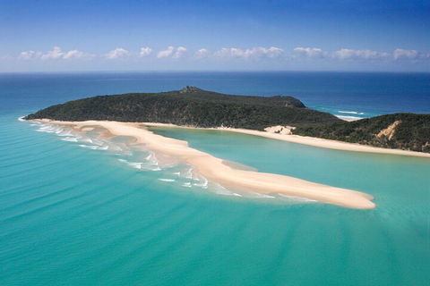 Kayak With Dolphins And 4WD Great Beach Drive Day Trip From Noosa - Accommodation Great Ocean Road 5