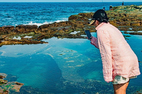 Sydney Private Tour Featuring Wilderness, Wildlife, Waves, Waterfalls And Wine - Accommodation Great Ocean Road 1