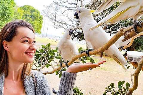 Sydney Private Tour Featuring Wilderness, Wildlife, Waves, Waterfalls And Wine - Accommodation Great Ocean Road 4