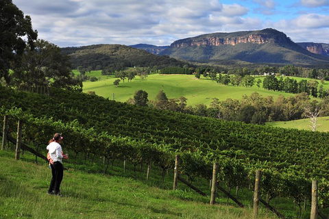 Private Blue Mountains And Winery Day-Trip From Sydney - Accommodation Great Ocean Road 2