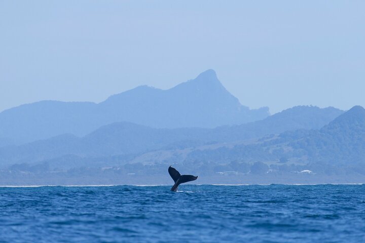 Byron Bay NSW Accommodation Great Ocean Road