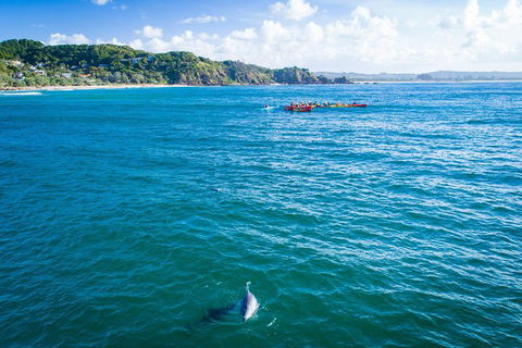 The Byron Bay Sea Kayak Tour - Accommodation Great Ocean Road 2