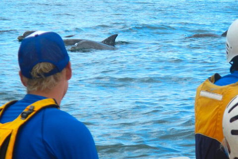 The Byron Bay Sea Kayak Tour - Accommodation Great Ocean Road 4