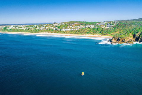 Noosa Oceanrider Scenic Dolphin Safari - Accommodation Great Ocean Road 4