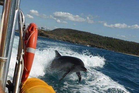 Noosa Oceanrider - Adventure Tour - Accommodation Great Ocean Road 1