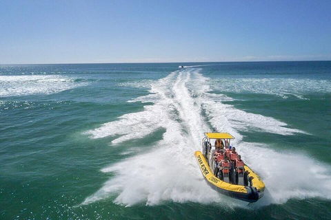 Noosa Oceanrider - Adventure Tour - Accommodation Great Ocean Road 2