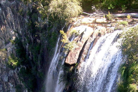 Byron Bay Combo: Hinterland Tour Including Minyon Falls And Kayaking With Dolphins - Accommodation Great Ocean Road 3