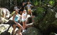 Byron Bay Combo: Hinterland Tour Including Minyon Falls And Kayaking With Dolphins - thumb 4