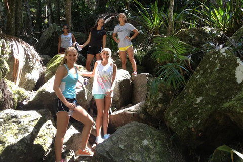 Byron Bay Combo: Hinterland Tour Including Minyon Falls And Kayaking With Dolphins - Accommodation Great Ocean Road 4