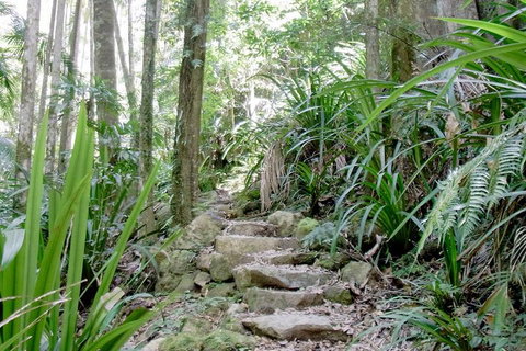 Byron Bay Combo: Hinterland Tour Including Minyon Falls And Kayaking With Dolphins - Accommodation Great Ocean Road 5