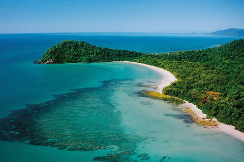 Daintree Rainforest, Cape Tribulation, Mossman Gorge Small-Group Day Tour - Accommodation Great Ocean Road 4