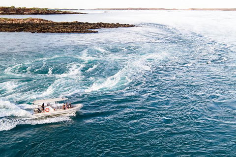 Giant Tides Tour - Cygnet Bay Pearl Farm - Accommodation Great Ocean Road 4
