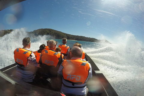 Noosa Thriller - 500hp Ocean Adventure Ride - Accommodation Great Ocean Road 3