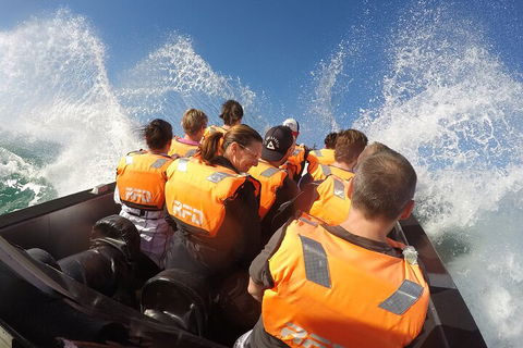 Noosa Thriller - 500hp Ocean Adventure Ride - Accommodation Great Ocean Road 4