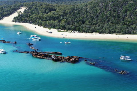 All Inclusive Tangalooma Wrecks Cruise Tour From Gold Coast - Accommodation Great Ocean Road 0