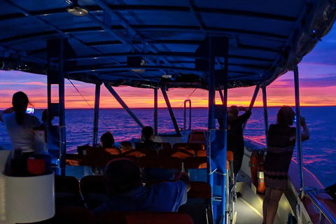 Darwin Sunset Cruise Including Fish 'n' Chips - Accommodation Great Ocean Road 1