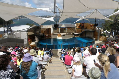 Sydney Taronga Zoo General Entry Ticket - Accommodation Great Ocean Road 5
