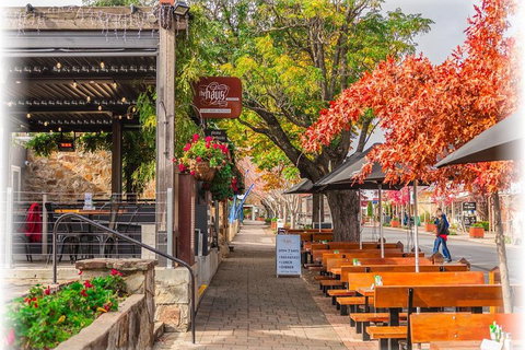 Adelaide City Highlights With Hahndorf And Mt. Lofty - Accommodation Great Ocean Road 5
