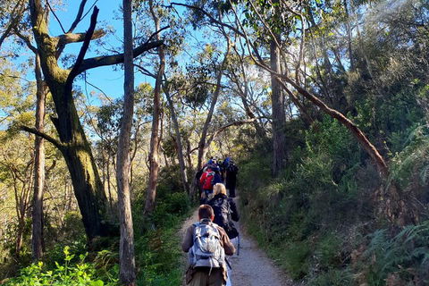 Self-Guided Waterfall Gully To Mount Lofty Hike From Adelaide - Accommodation Great Ocean Road 1