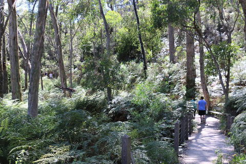 Self-Guided Waterfall Gully To Mount Lofty Hike From Adelaide - Accommodation Great Ocean Road 2