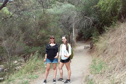 Self-Guided Waterfall Gully To Mount Lofty Hike From Adelaide - Accommodation Great Ocean Road 4