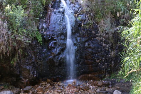Self-Guided Waterfall Gully To Mount Lofty Hike From Adelaide - Accommodation Great Ocean Road 5