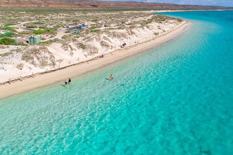 Ningaloo In A Day - Full Day Hike And Snorkel Tour With Lunch - Accommodation Great Ocean Road 0