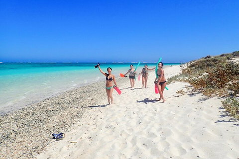 Ningaloo In A Day - Full Day Hike And Snorkel Tour With Lunch - Accommodation Great Ocean Road 1