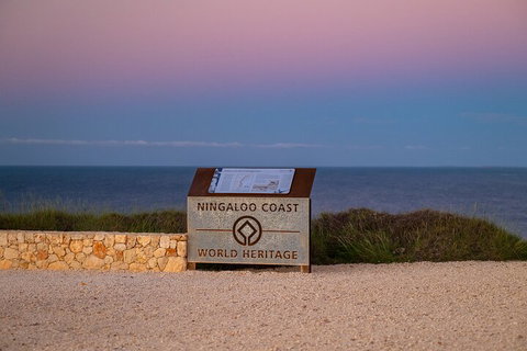 Ningaloo In A Day - Full Day Hike And Snorkel Tour With Lunch - Accommodation Great Ocean Road 5