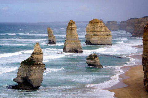 LGBT+ Friendly 2 Day Private Tour Great Ocean Road + Phillip Island - Accommodation Great Ocean Road 0