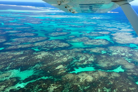 Shipwreck Special Full Day Tour Of The Abrolhos Islands - Accommodation Great Ocean Road 1