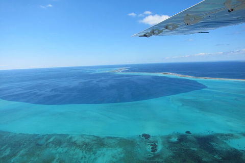 Shipwreck Special Full Day Tour Of The Abrolhos Islands - Accommodation Great Ocean Road 2