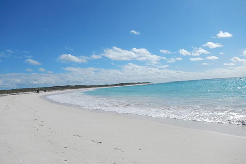 Shipwreck Special Nature Tour/Half Day Tour - Accommodation Great Ocean Road 0