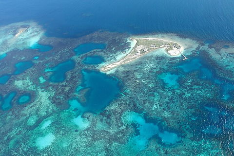 Shipwreck Special Nature Tour/Half Day Tour - Accommodation Great Ocean Road 5