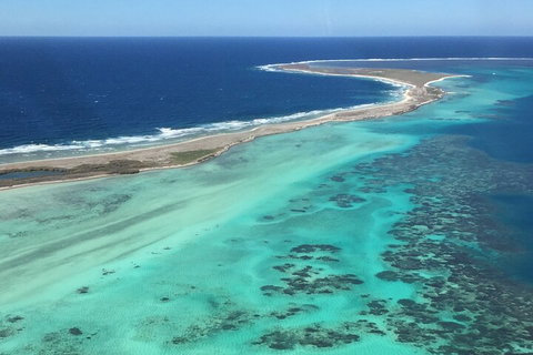 Kalbarri, Pink Lake And Abrolhos Islands Nature Tour - Accommodation Great Ocean Road 3