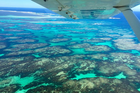 Kalbarri, Pink Lake And Abrolhos Islands Nature Tour - Accommodation Great Ocean Road 5