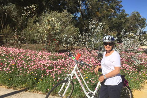 Perth Bike Tour - Beautiful Matilda Bay And Kings Park - Accommodation Great Ocean Road 1