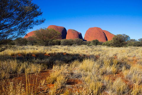 Kata Tjuta Sunrise And Valley Of The Winds Half-Day Trip - Accommodation Great Ocean Road 1