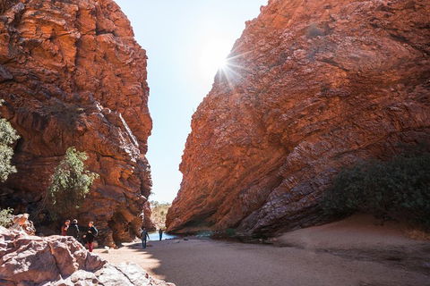 West MacDonnell Ranges- Half Day Trip From Alice Springs - Accommodation Great Ocean Road 0
