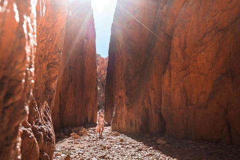 West MacDonnell Ranges- Half Day Trip From Alice Springs - Accommodation Great Ocean Road 4