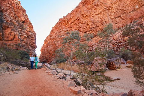 Best Of Alice Springs Full Day Tour - Accommodation Great Ocean Road 1