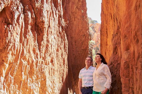 Best Of Alice Springs Full Day Tour - Accommodation Great Ocean Road 4