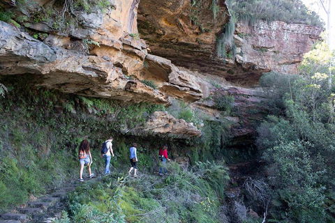 Blue Mountains Nature And Wildlife Day Tour From Sydney - Accommodation Great Ocean Road 2