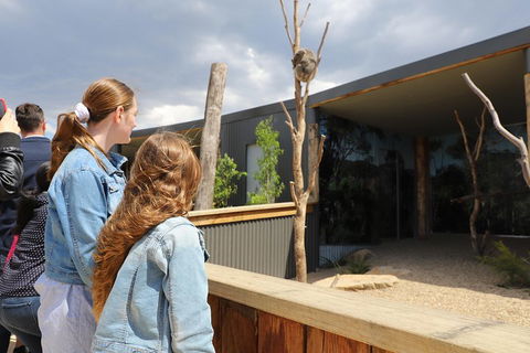 Blue Mountains Nature And Wildlife Day Tour From Sydney - Accommodation Great Ocean Road 3