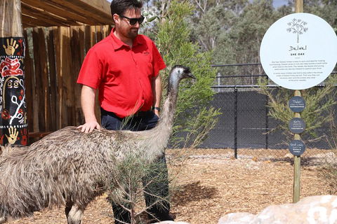Blue Mountains Nature And Wildlife Day Tour From Sydney - Accommodation Great Ocean Road 5