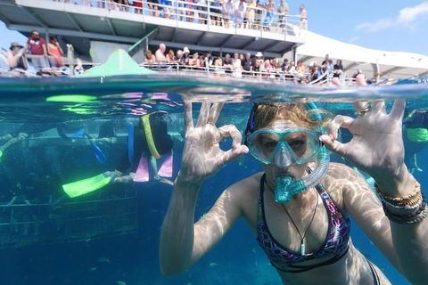 Great Barrier Reef Day Cruise From Cairns Including Snorkeling And Marine Biologist Presentation - Accommodation Great Ocean Road 0